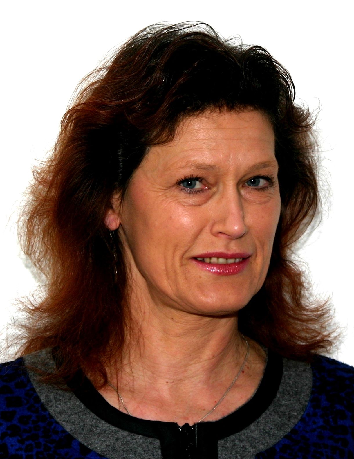 Birgit Costard